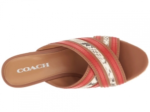 Босоножки COACH