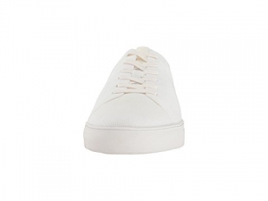 Кеды Steve Madden
