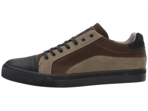 Кеды Steve Madden